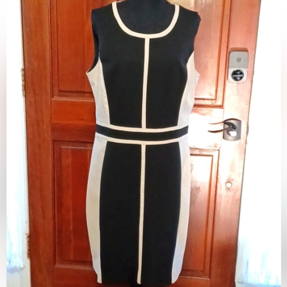 New York & Company Dress